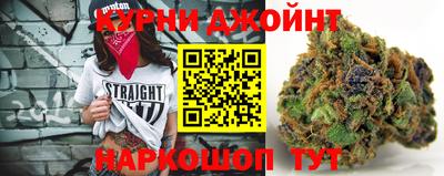 индика Нальчик