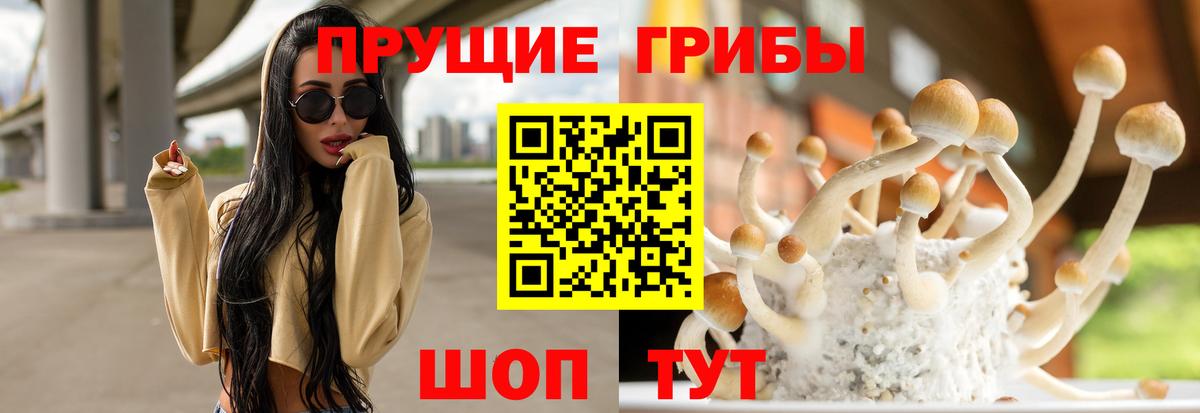 Галлюциногенные грибы Psilocybine cubensis Симферополь