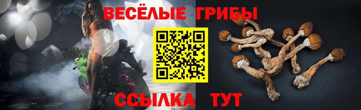 Галлюциногенные грибы прущие грибы  Вход с VPN  Симферополь  Галлюциногенные грибы Psilocybine cubensis 